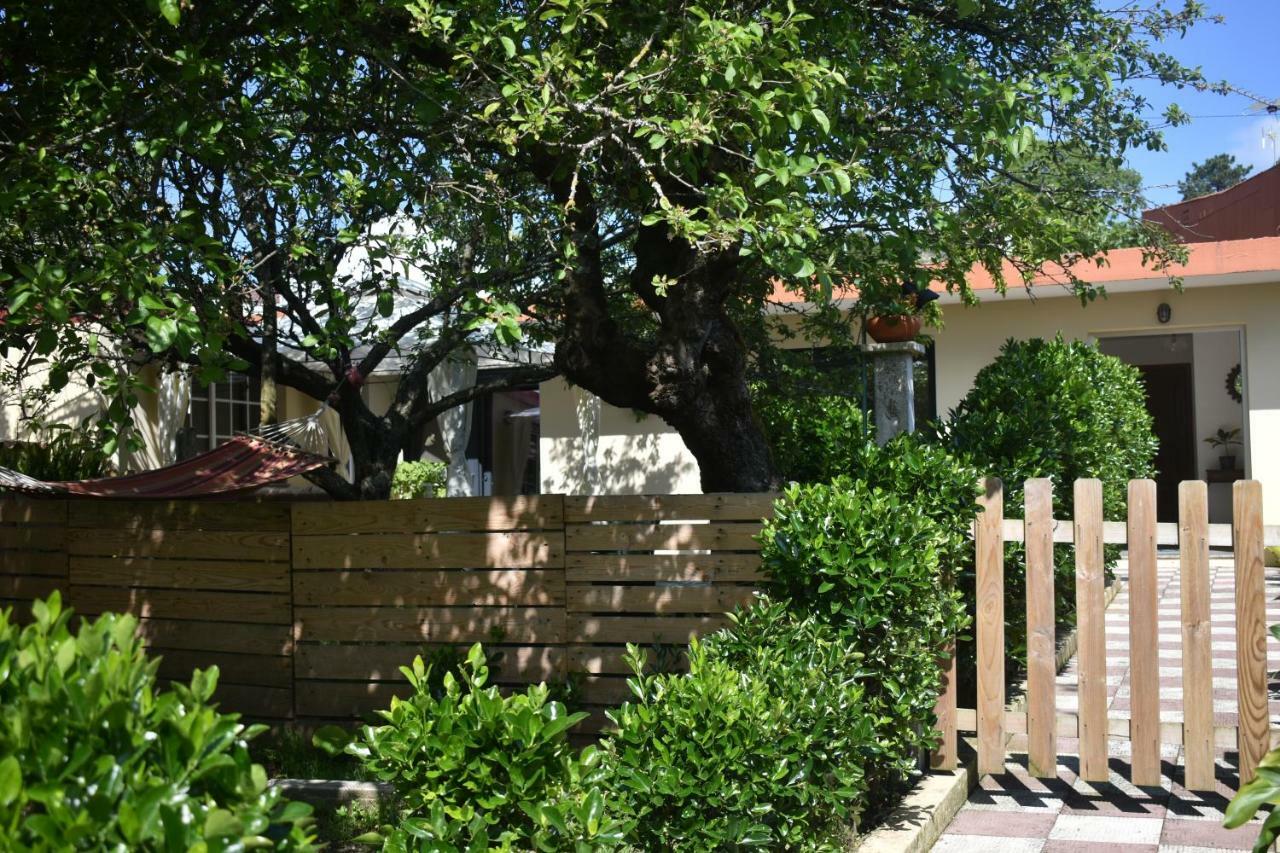 Jardin, Terraza Y Barbacoa Apartment O Grove